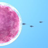 Ako m��e �ensk� bylinn� naparovanie pom�c� �ene otehotnie�