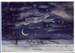 Pohľadnica Mesačné fázy so zajacmi - Samhain